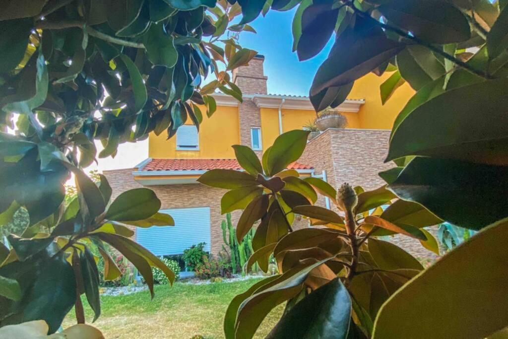 Casa Petroleiro Lägenhet Albergaria-a-Velha Exteriör bild