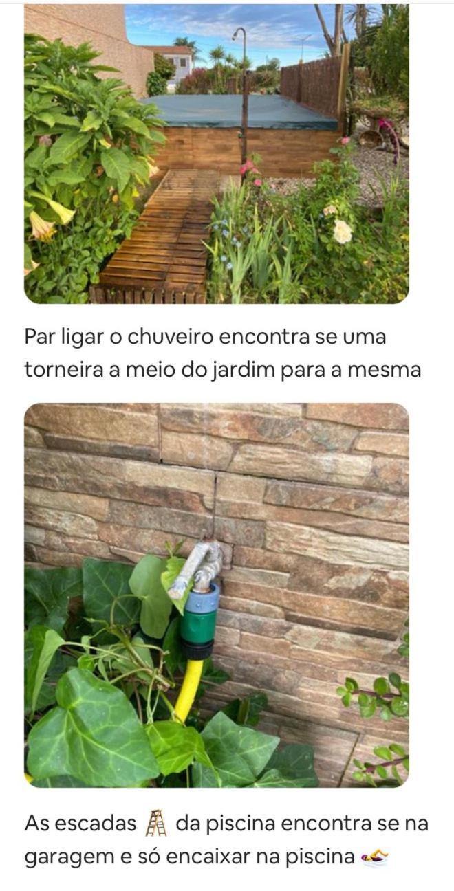 Casa Petroleiro Lägenhet Albergaria-a-Velha Exteriör bild